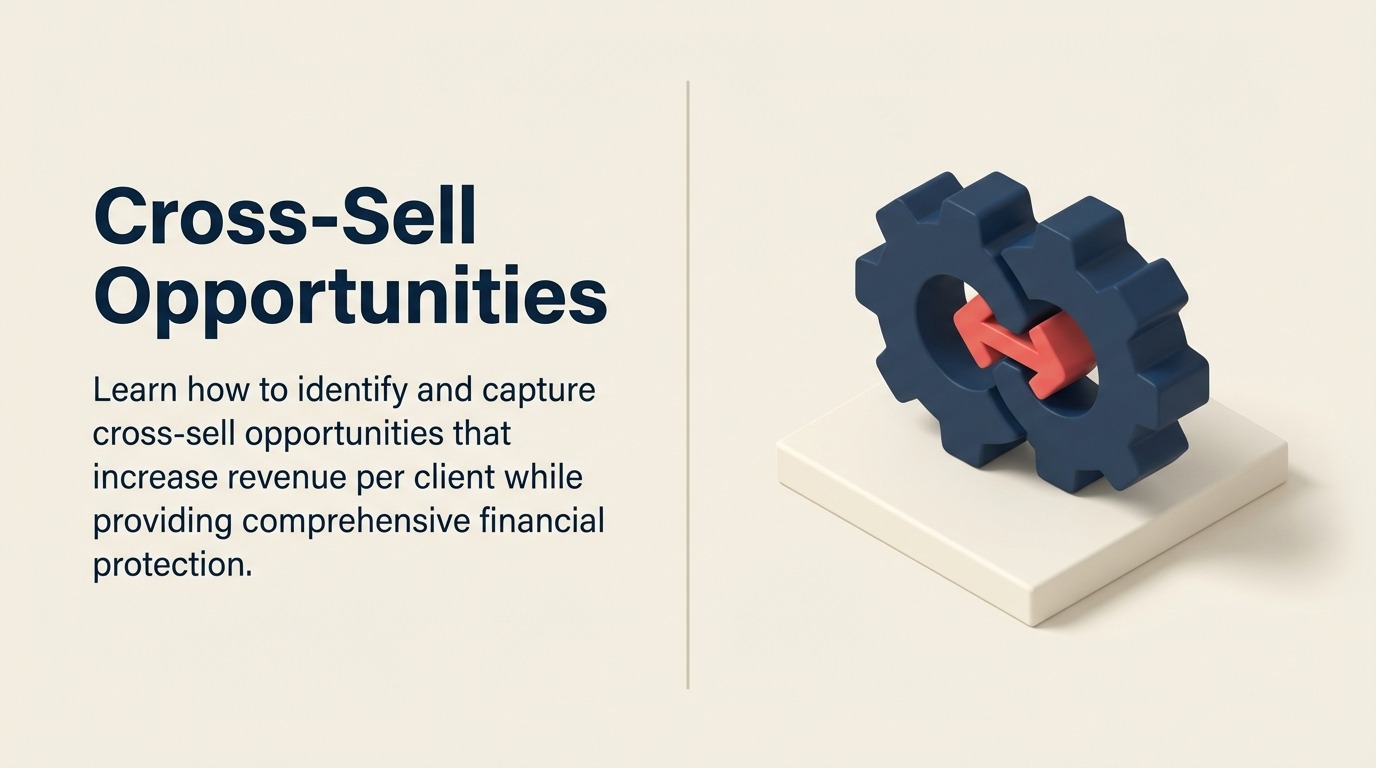cross-sell-opportunities